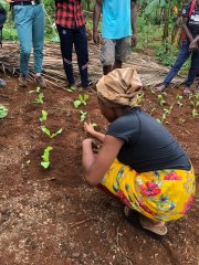 Les élèves aident à la plantation