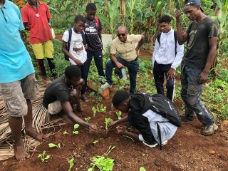 Aide à la plantation