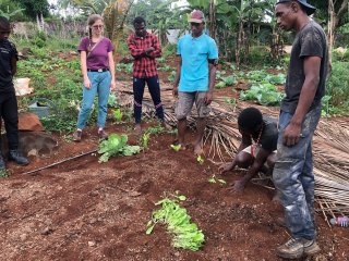 Démonstration de plantation